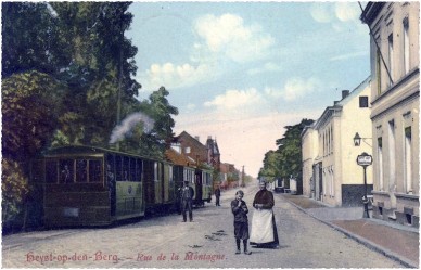Heyst op den Berg__.jpg
